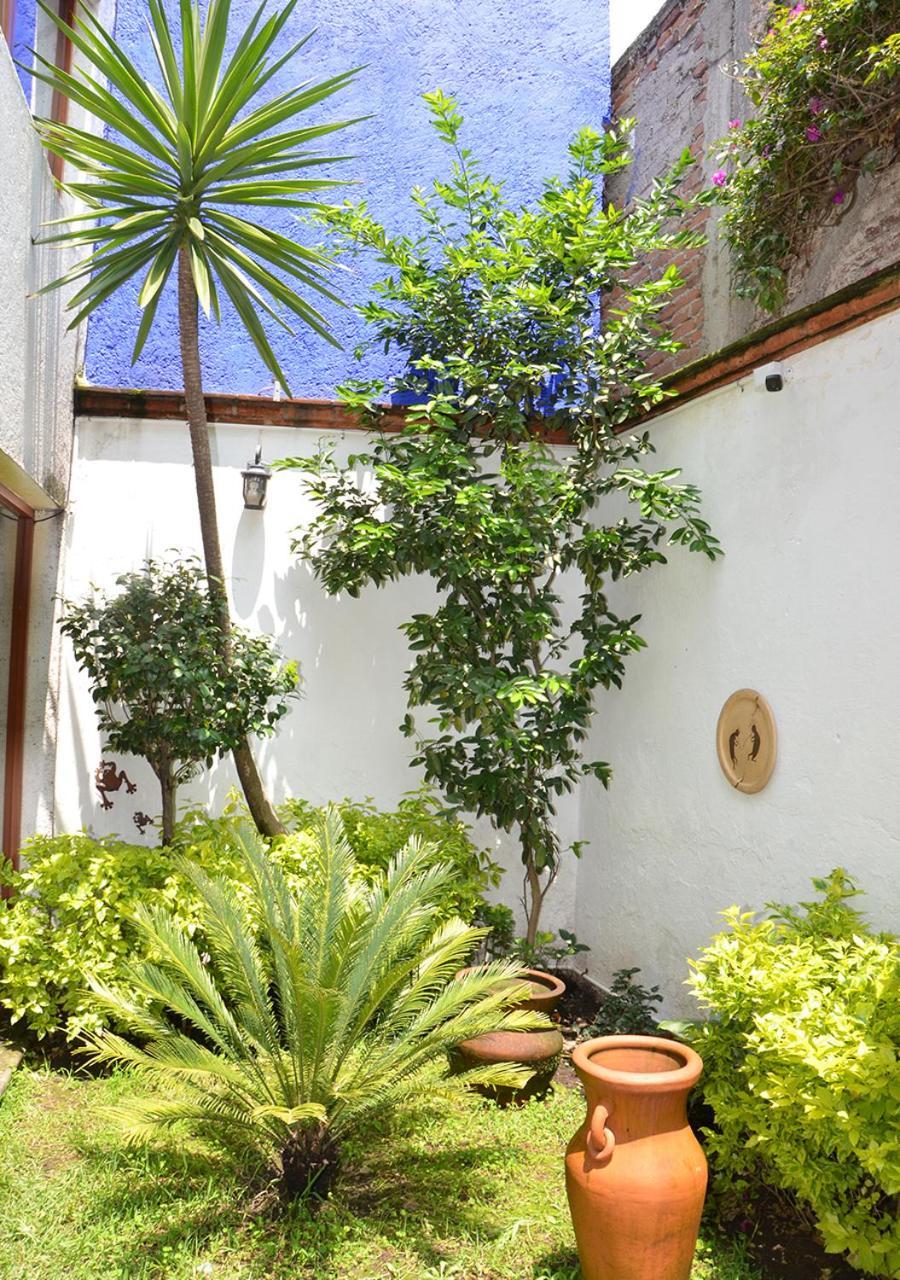 Casa Coyoacan Мехико Экстерьер фото