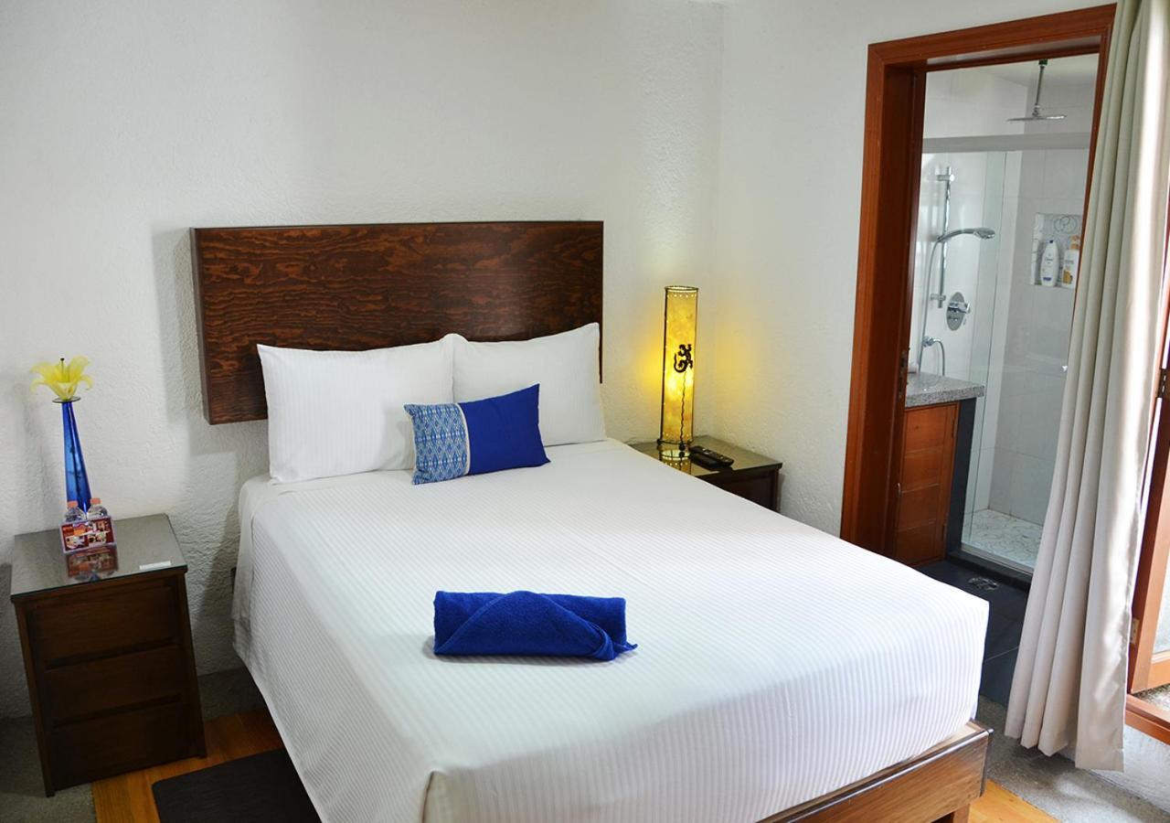 Casa Coyoacan Мехико Экстерьер фото